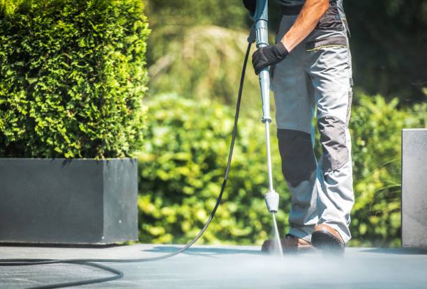 Best Fence Cleaning and Maintenance in Milam, TX